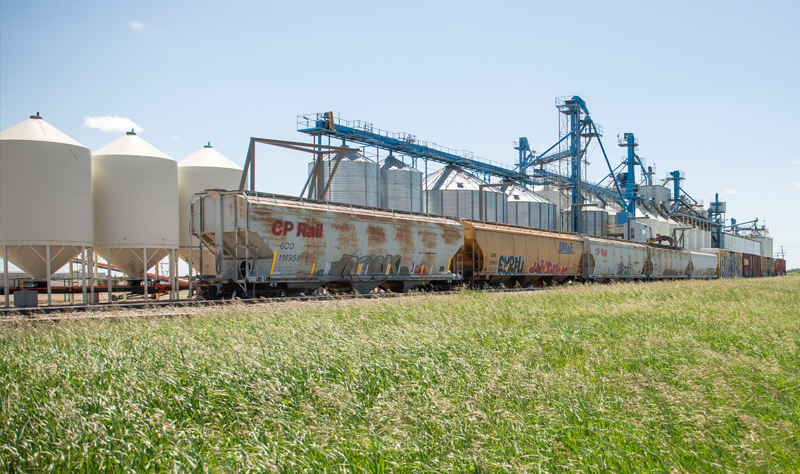 Railcars on Rail line at Simpson Seeds