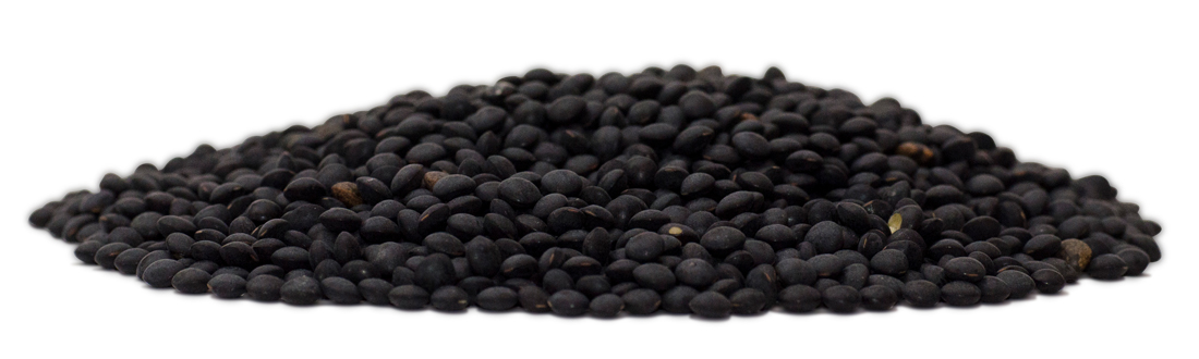 Black Beluga Lentils