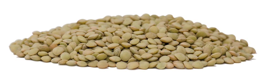 Eston Green Lentils