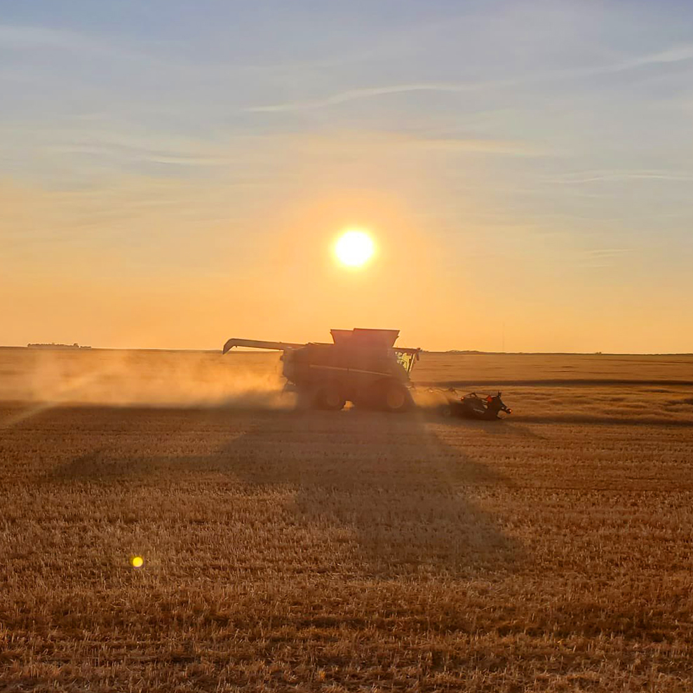 our-farm Image of rail cars on rail line at Simpson Seeds