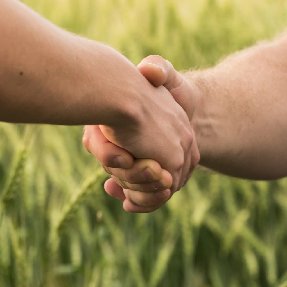 shaking-hands Image of rail cars on rail line at Simpson Seeds